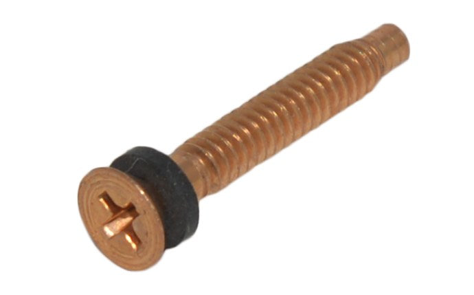 Pentair Brass Pilot Screw