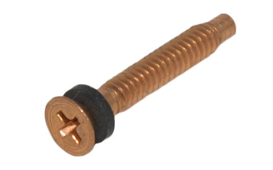 Pentair Brass Pilot Screw